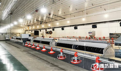 潍观丨向世界递上农业开放发展的 潍坊名片