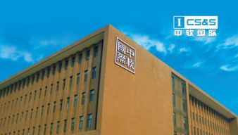 中软卓越软件开发学员成功入职it名企