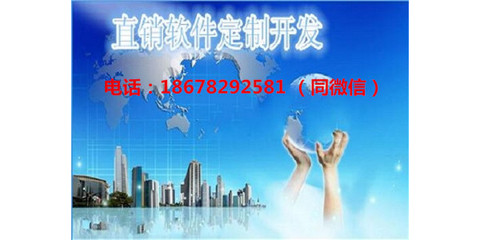 河南直销软件开发