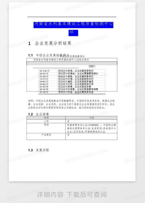 河南省水利基本建设工程质量检测中心站介绍企业发展分析报告word模板下载 编号lvwnoknm 熊猫办公