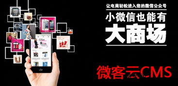 河南郑州u劵云淘客加卡密加线上商城系统app开发