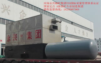 西安6吨燃气蒸汽锅炉热销与河南软件开发的双重机遇