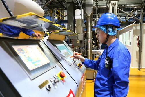 新华全媒 小萌宠激活亿元新赛道——山东宠物产业发展一线见闻与河南软件开发的协同启示